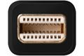 Sitecom DisplayPort to HDMI / VGA 2-in-1 Adapter