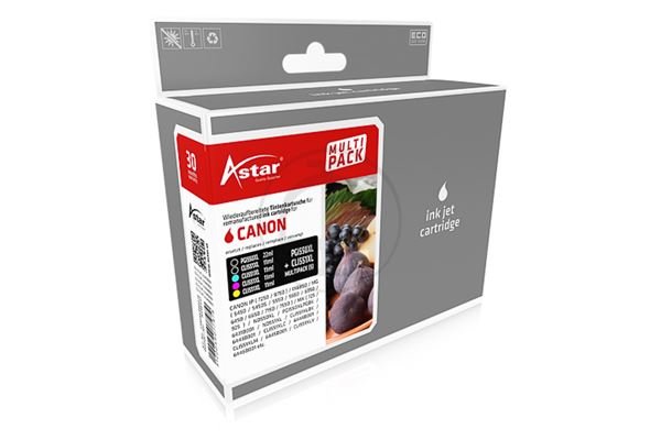 ASTAR AS46551 kompatibel zu Canon PGI550XL/CLIXL CMYKK