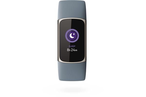 Fitbit Charge 5 graublau/platin