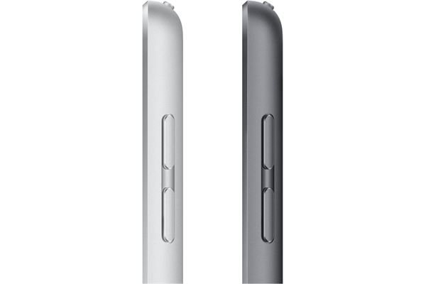 Apple iPad (256GB) WiFi + 4G space grey