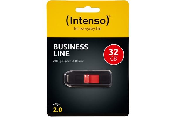 Intenso Business Line 32GB USB Drive 2.0